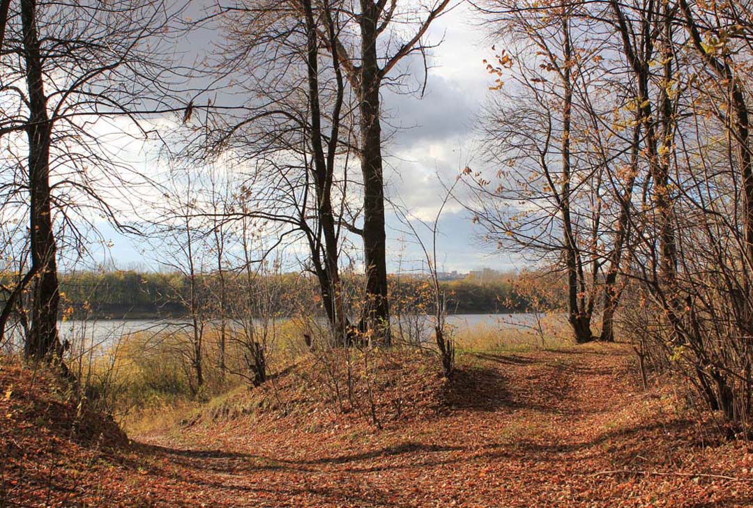 photo "Autumn walk." tags: landscape, autumn, forest