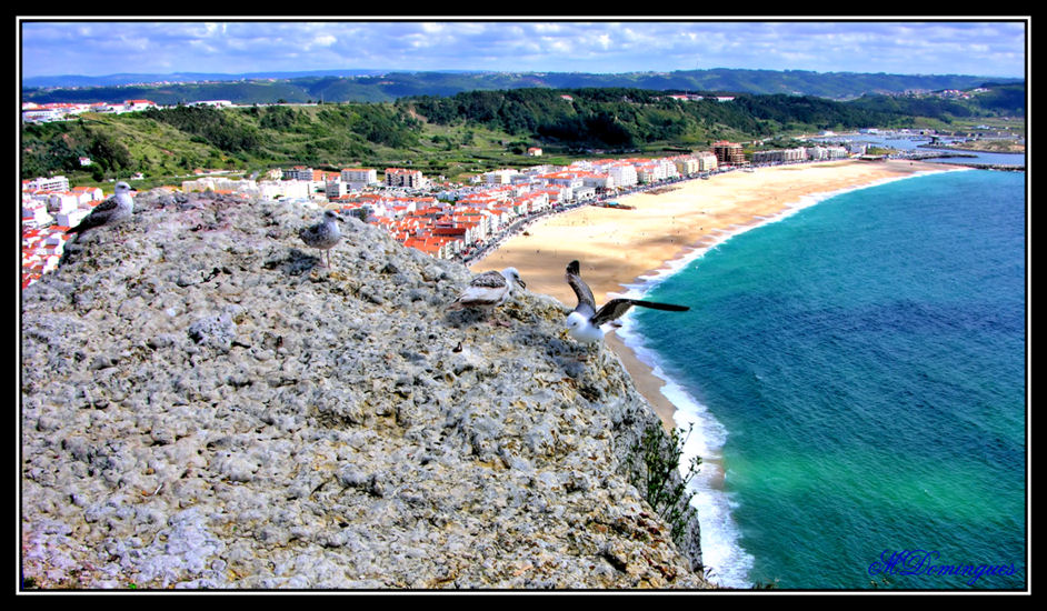 фото "Nazaré" метки: пейзаж, 