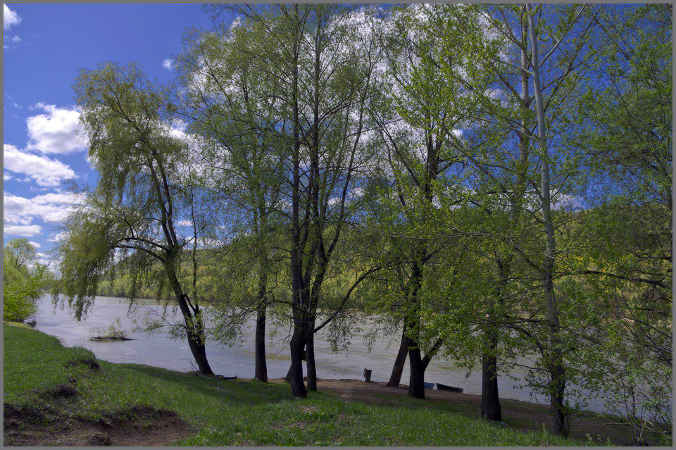 photo "***" tags: landscape, spring