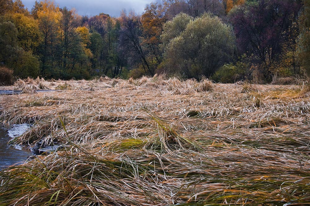 photo "***" tags: landscape, autumn