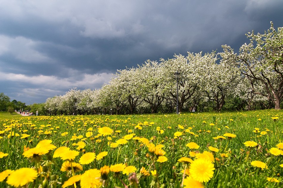 photo "***" tags: landscape, spring