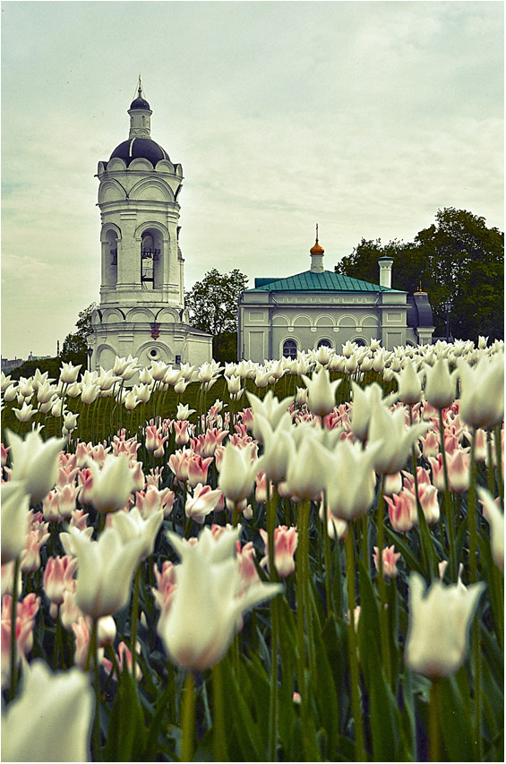 photo "***" tags: landscape, spring