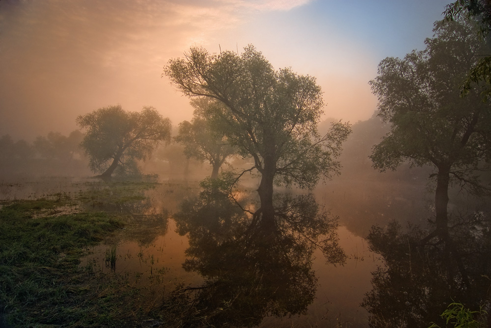 фото "***" метки: пейзаж, весна, закат