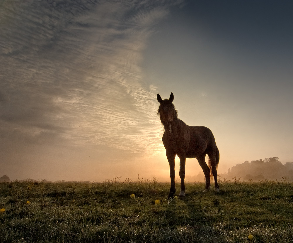 photo "***" tags: landscape, spring, sunset