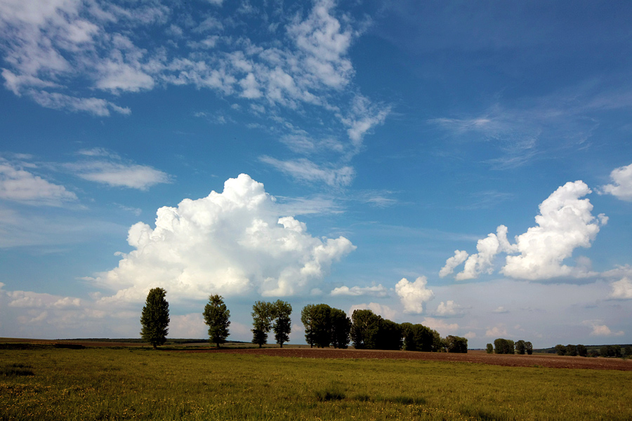 photo "The string of poplar" tags: landscape, clouds, field, road, sky, spring, tree