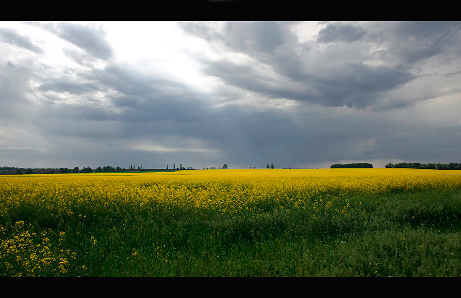 photo "Before the Storm" tags: landscape, spring
