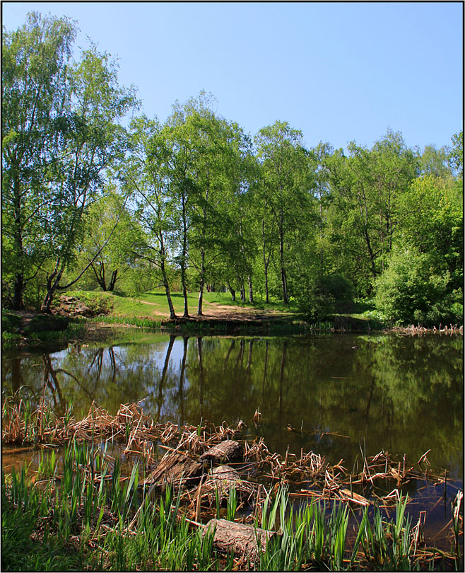 photo "***" tags: landscape, spring