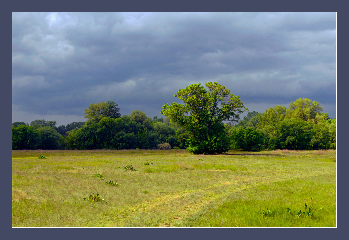 photo "***" tags: landscape, spring