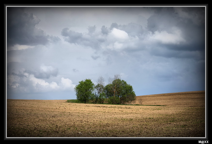 photo "***" tags: landscape, nature, 