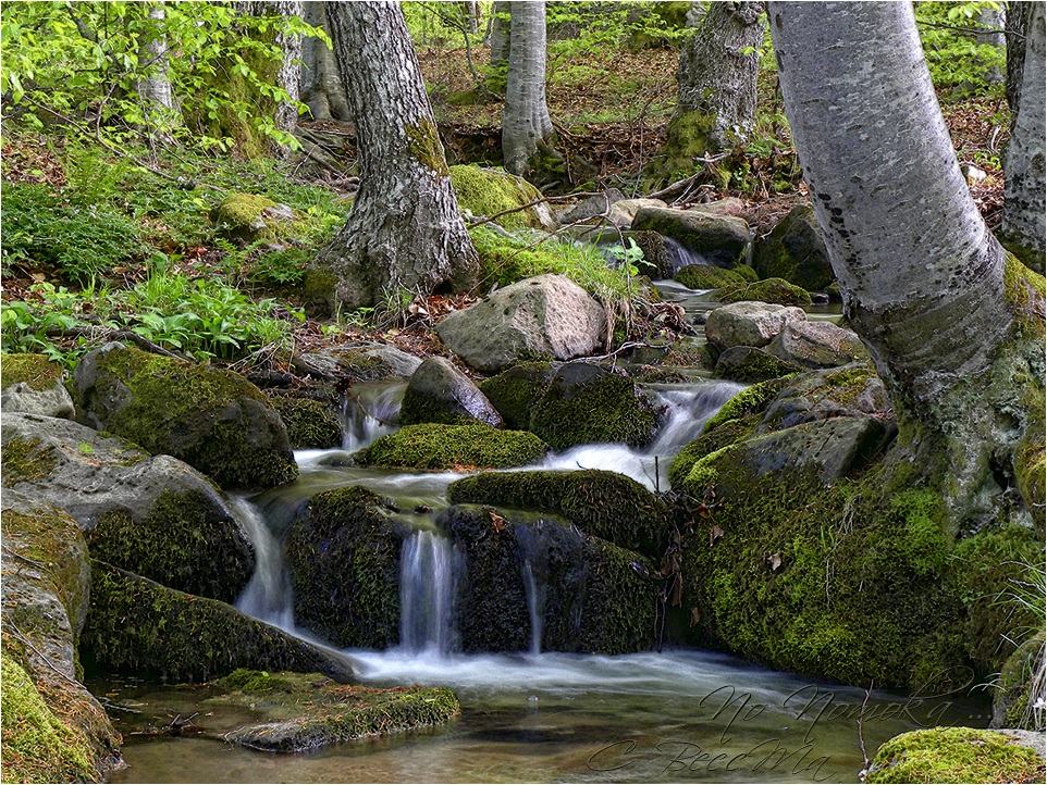 photo "***" tags: landscape, water