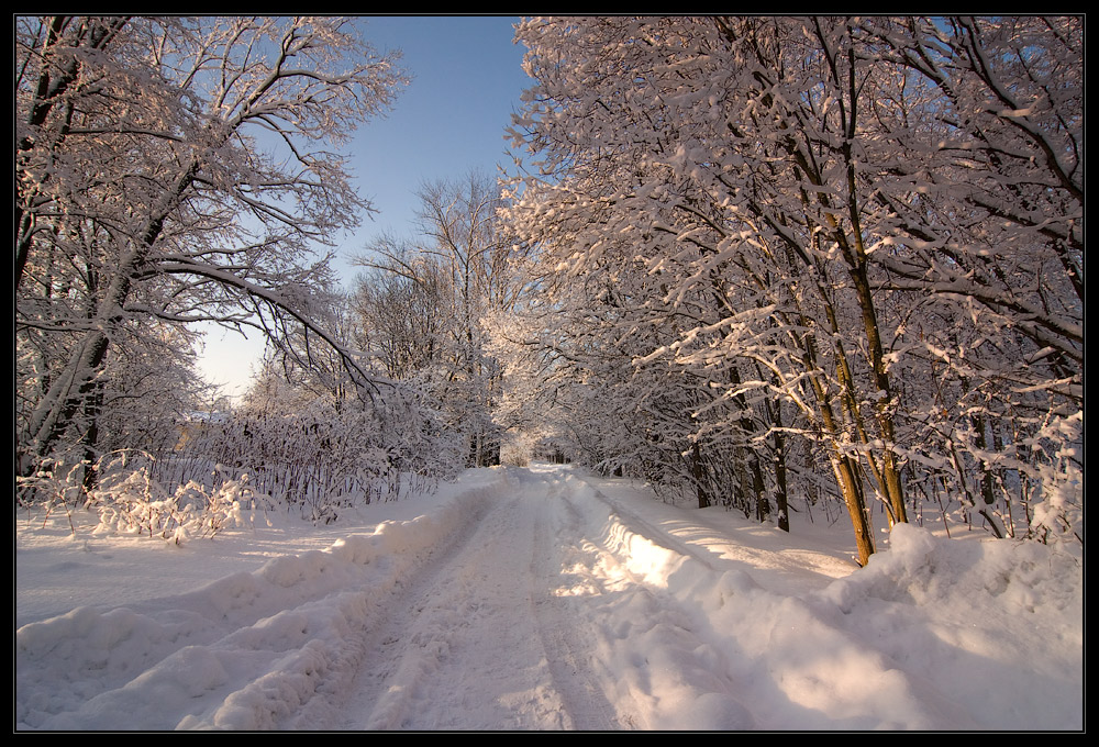 photo "***" tags: landscape, forest, winter