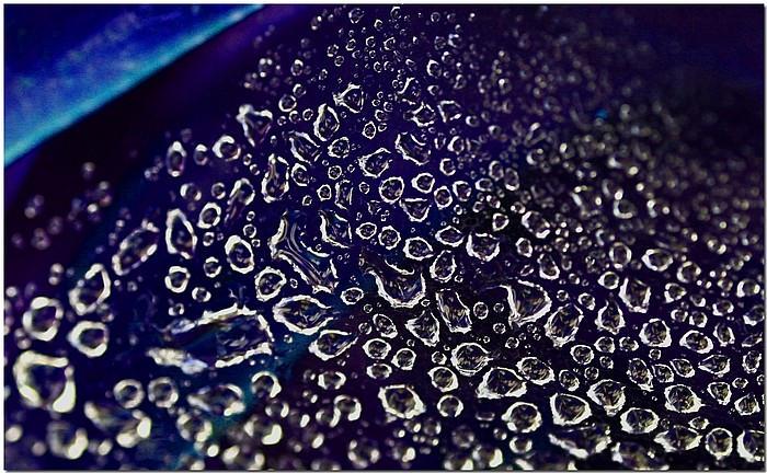 photo "Rainy Day Blues 2" tags: macro and close-up, abstract, 