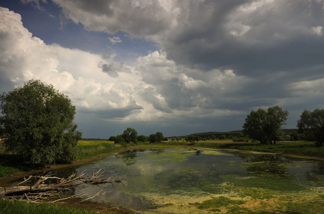 фото "на заброшеном пруду" метки: пейзаж, вода