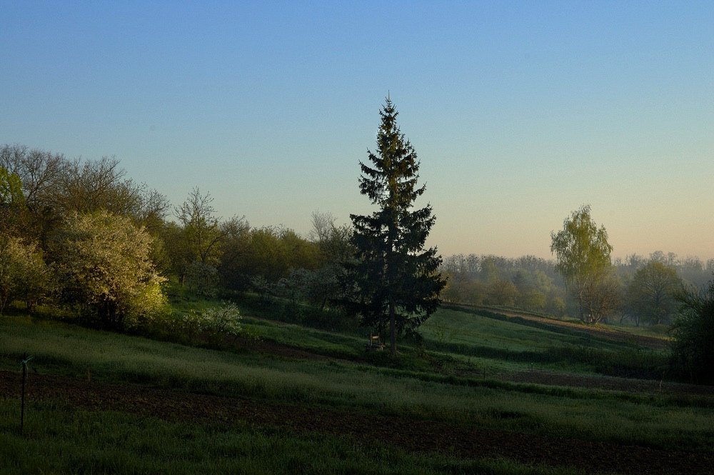 фото "Раннее утро" метки: пейзаж, закат