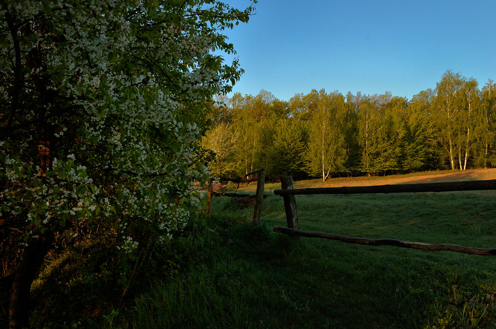 фото "Майское утро" метки: пейзаж, весна, закат
