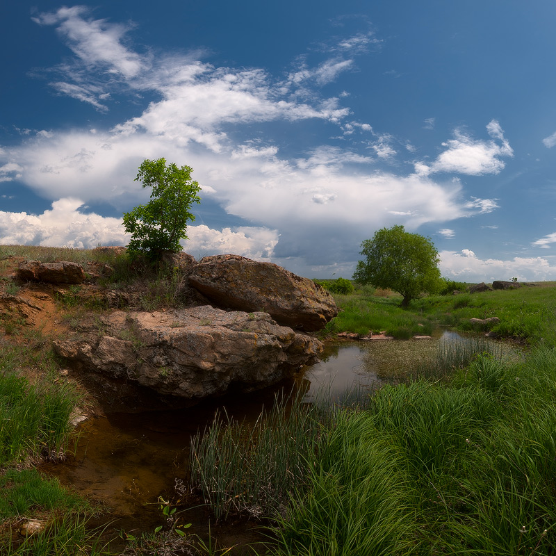 photo "***" tags: landscape, summer