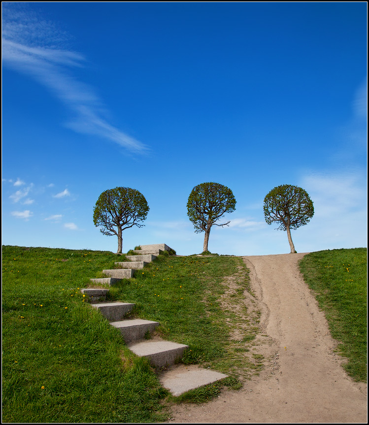 photo "up!" tags: landscape, spring