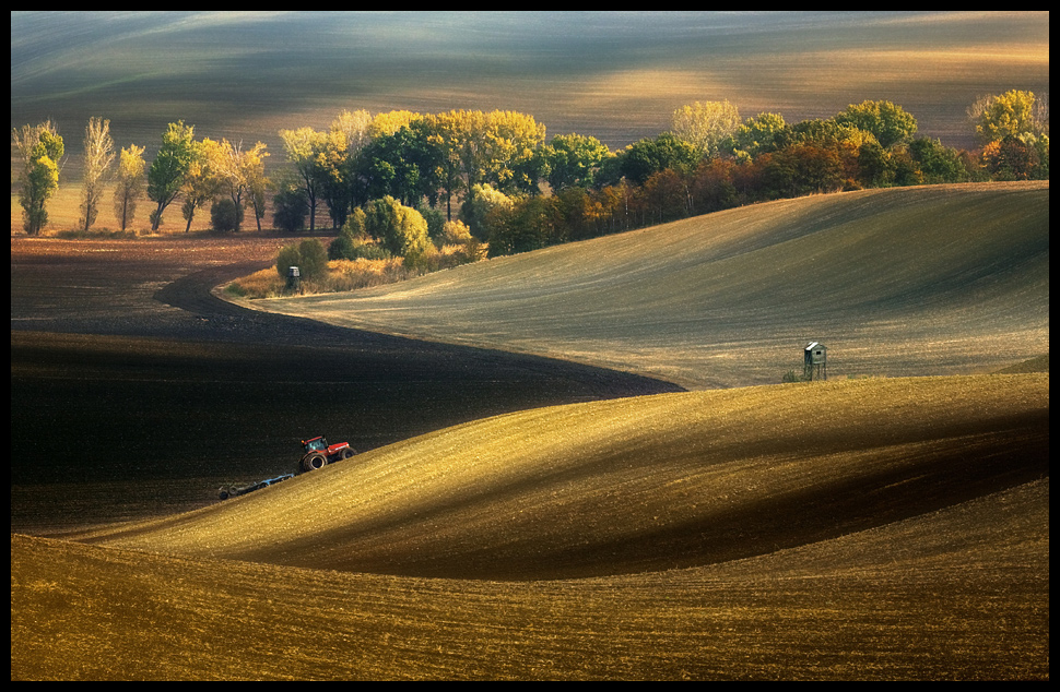 photo "Autumn fields" tags: landscape, 