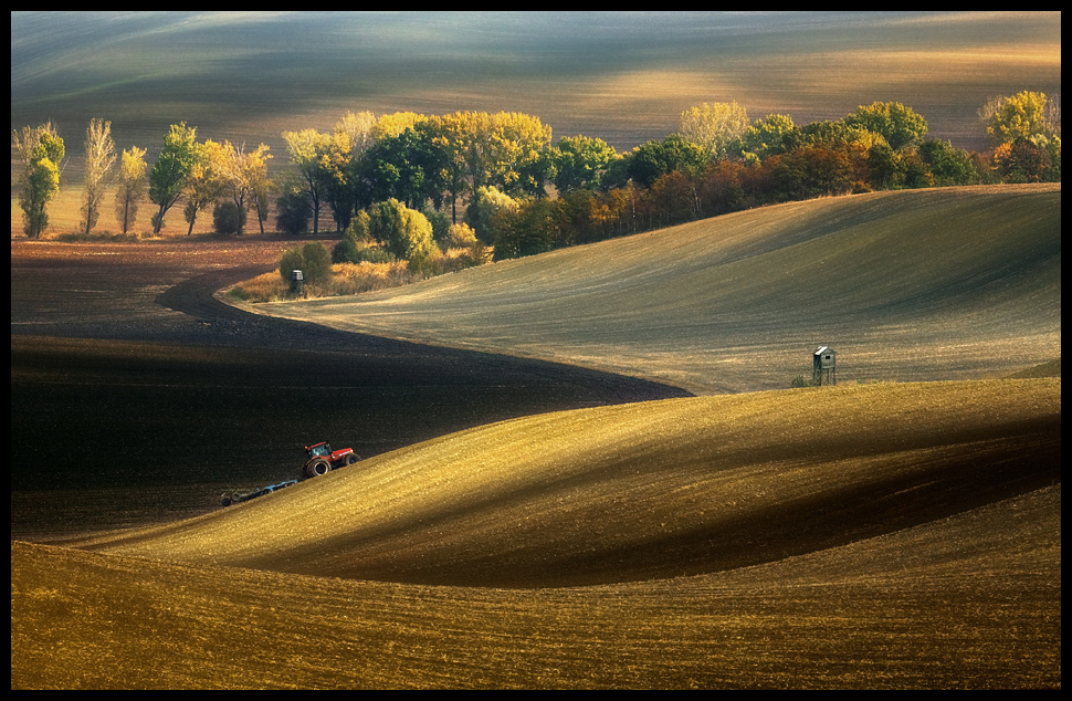 фото "Autumn fields" метки: пейзаж, 