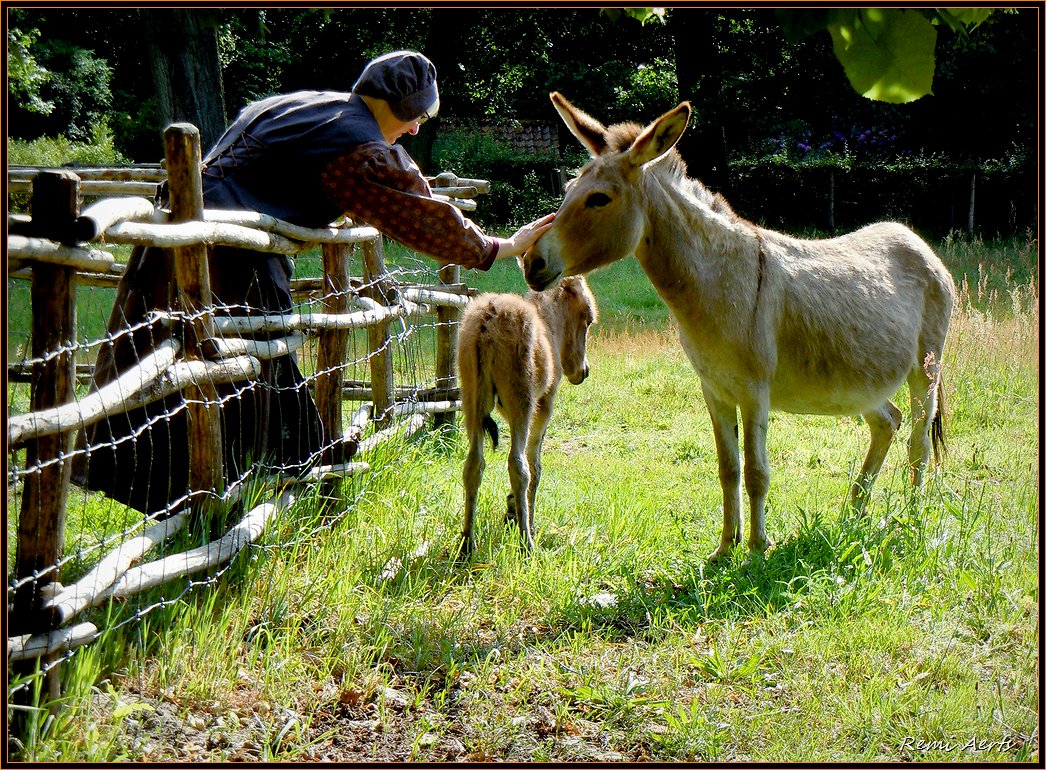 photo "good friends" tags: nature, portrait, pets/farm animals, woman