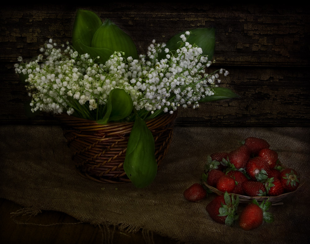 photo "The May Still Life" tags: , 