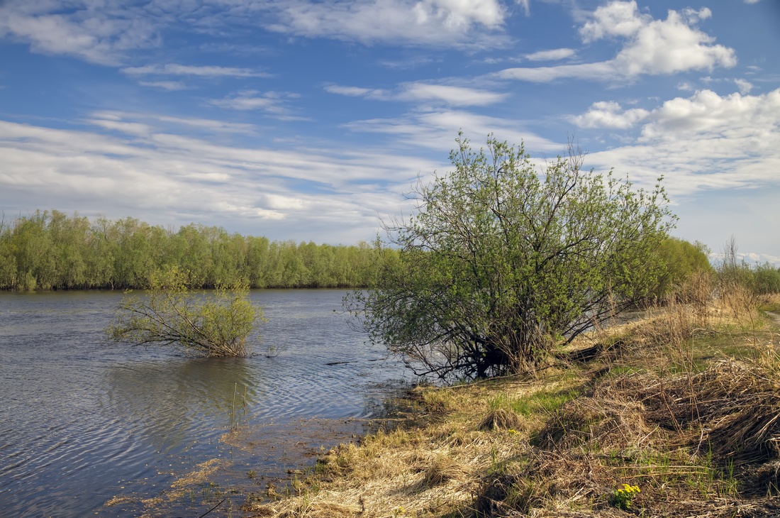 photo "***" tags: landscape, spring