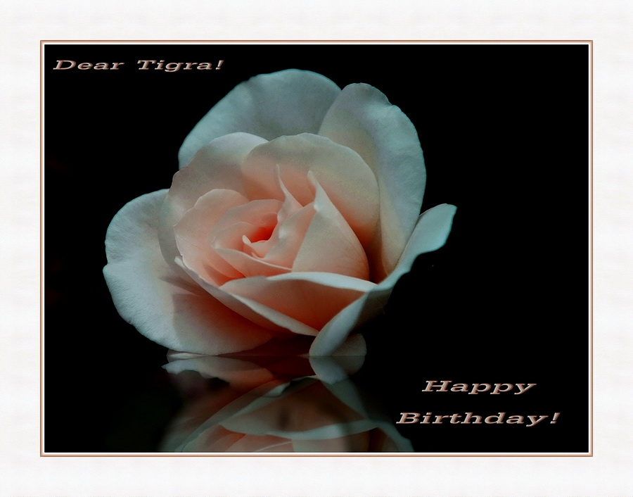 фото "HAPPY BIRTHDAY,TIGRA!!!" метки: природа, цветы