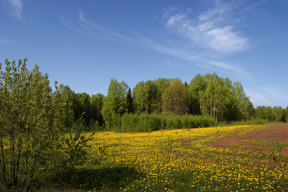 photo "***" tags: landscape, spring