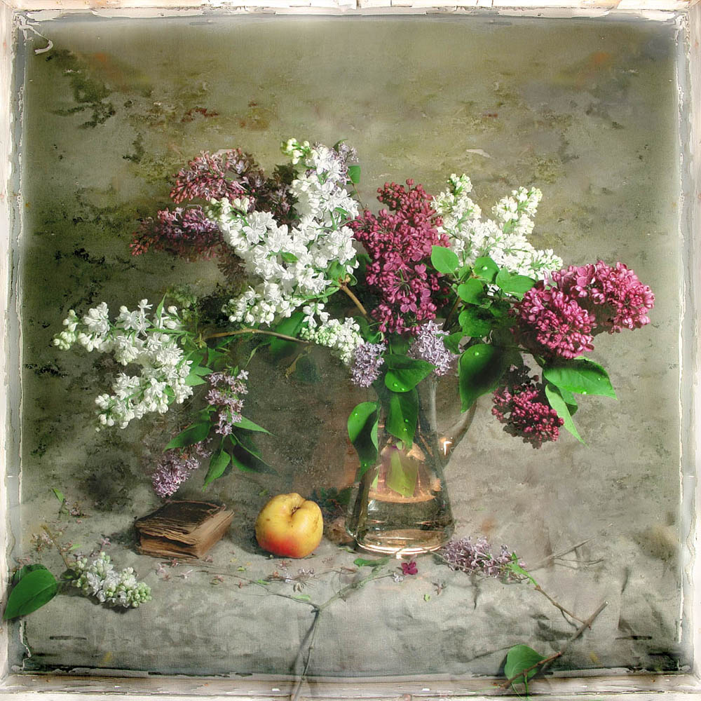 photo "Lilac Season" tags: still life, nature, flowers