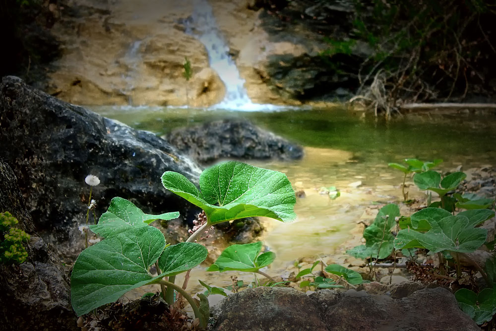 photo "***" tags: landscape, water