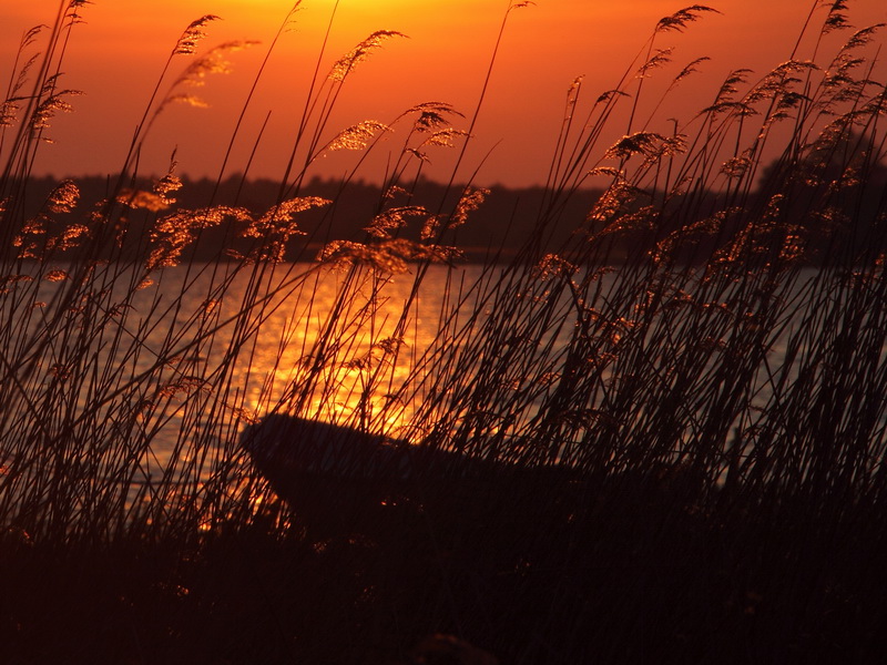 photo "***" tags: landscape, sunset