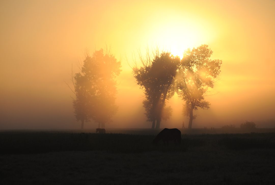 фото "утро" метки: пейзаж, закат