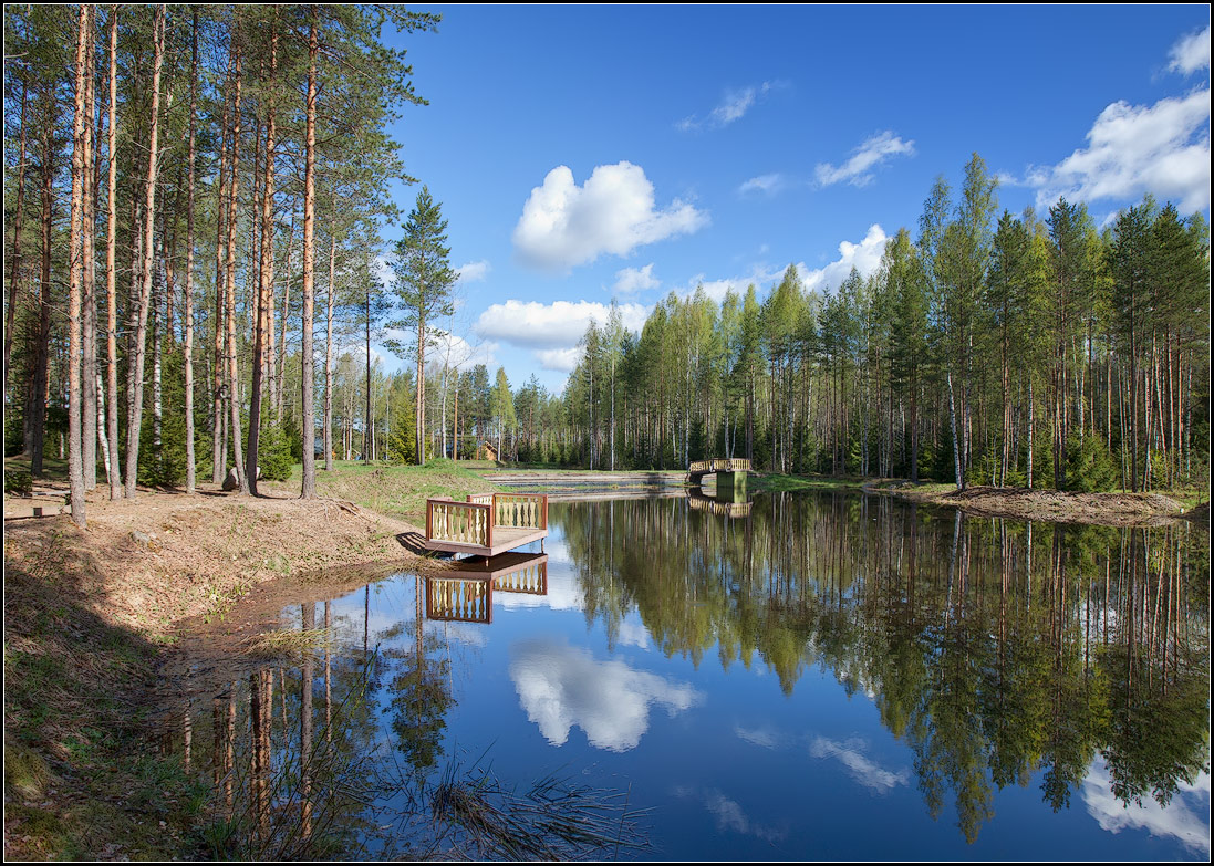 photo "lake" tags: landscape, forest, water
