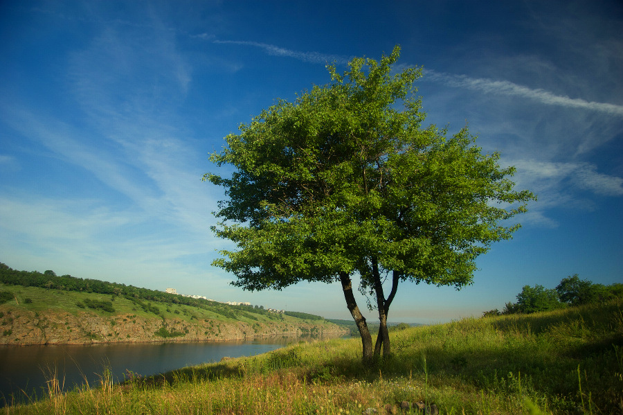 photo "***" tags: landscape, summer