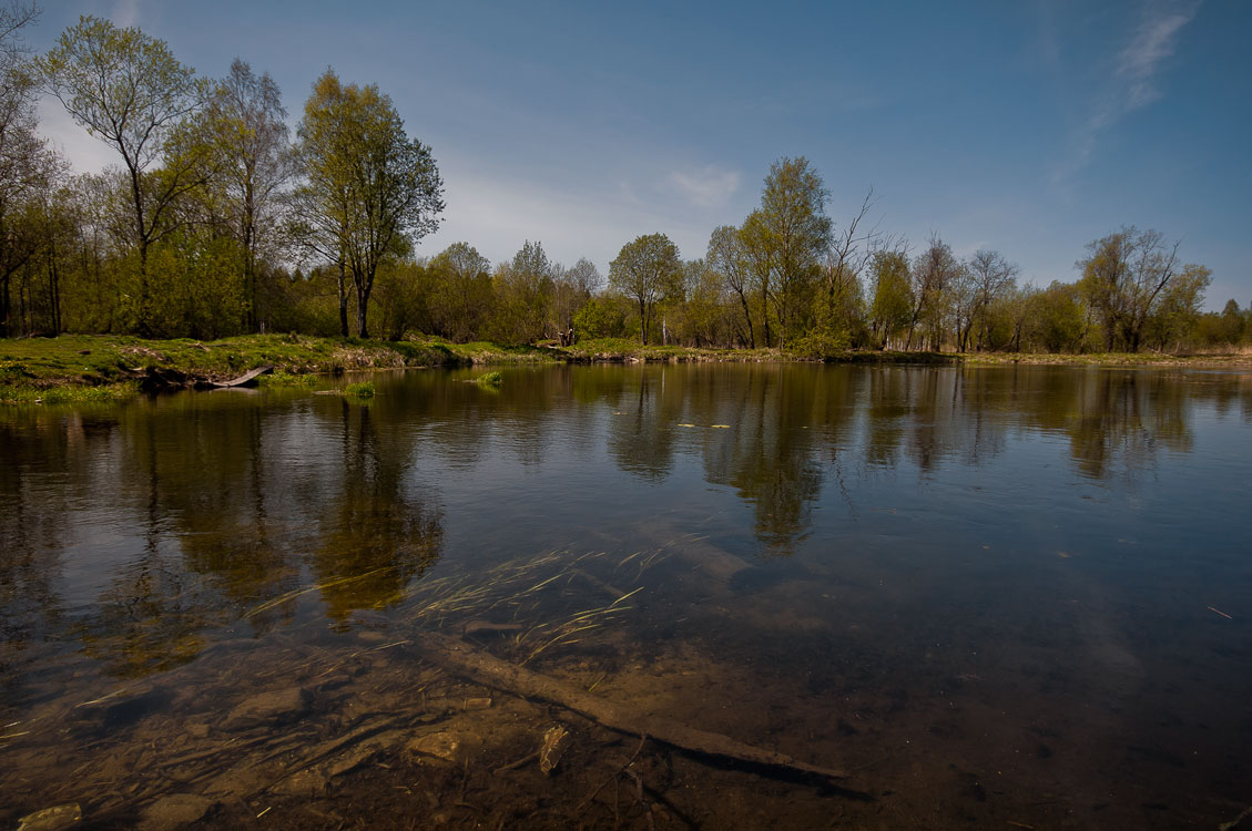 фото "В парке" метки: пейзаж, весна, вода