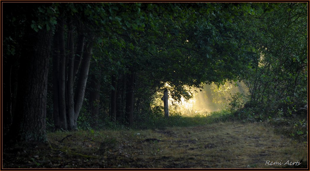 фото "sun" метки: пейзаж, весна, закат