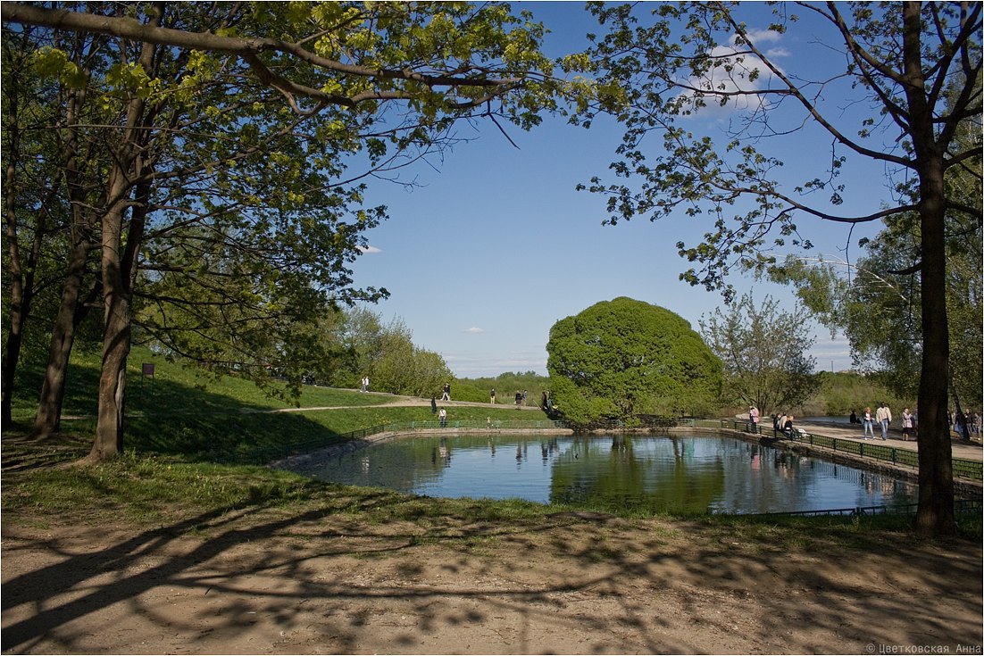 photo "***" tags: landscape, shadow, spring