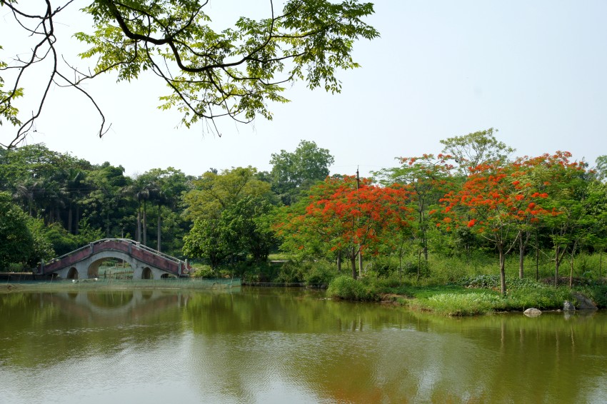 photo "red green" tags: travel, landscape, Asia, summer