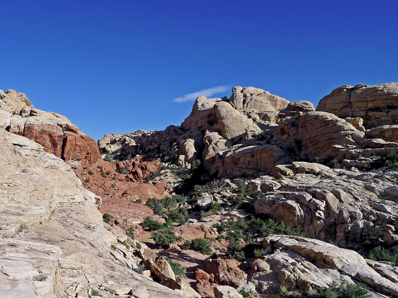 photo "Desert Rocks" tags: landscape, 