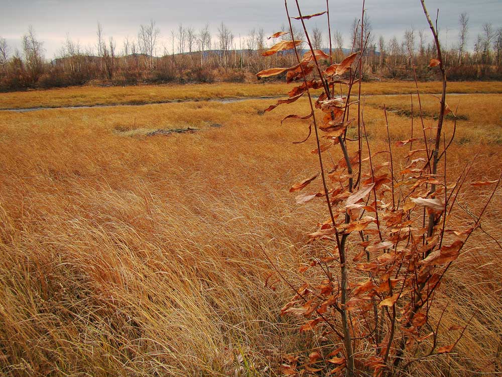 photo "***" tags: landscape, autumn