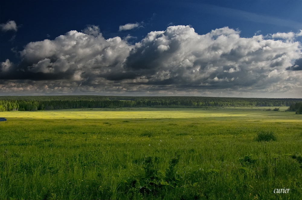 photo "***" tags: landscape, forest, summer