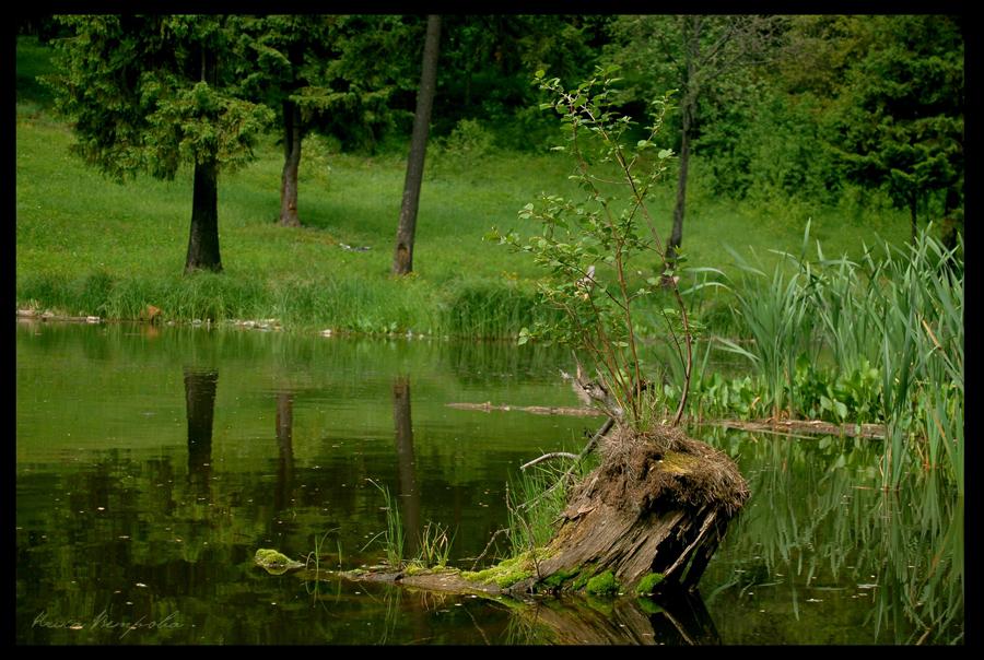 photo "***" tags: landscape, summer, water