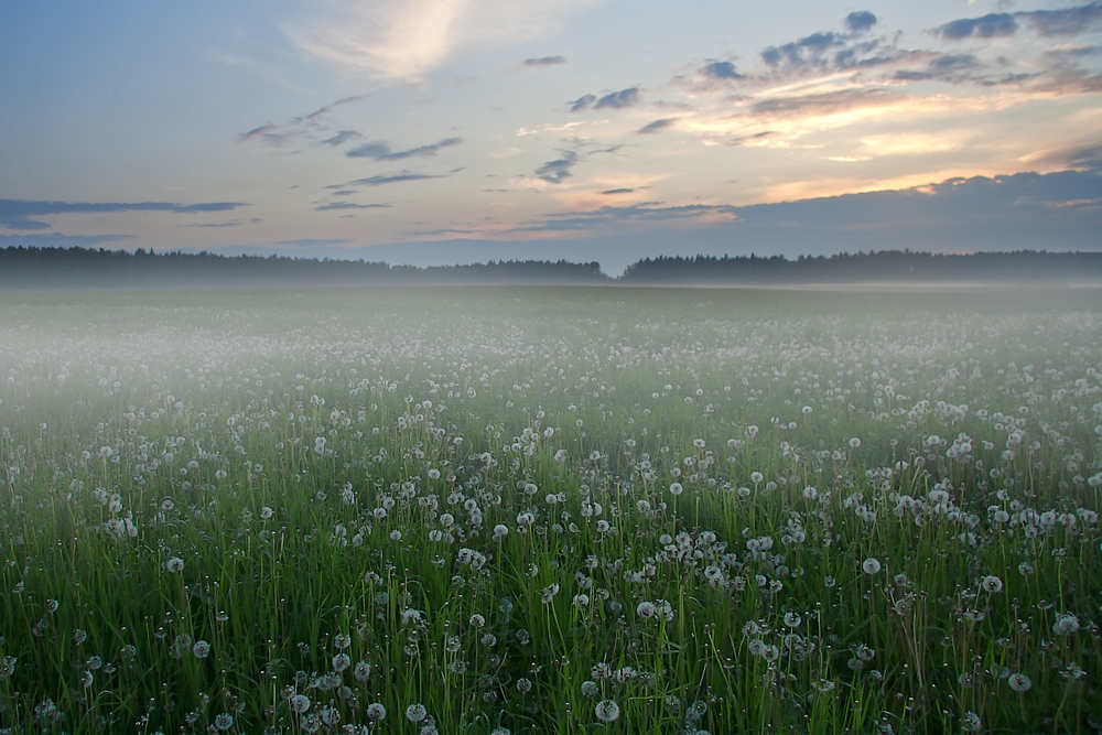 photo "***" tags: landscape, summer, sunset