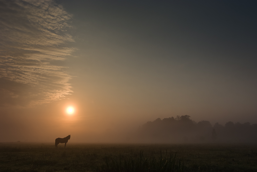фото "Тихое утро" метки: пейзаж, закат, лето