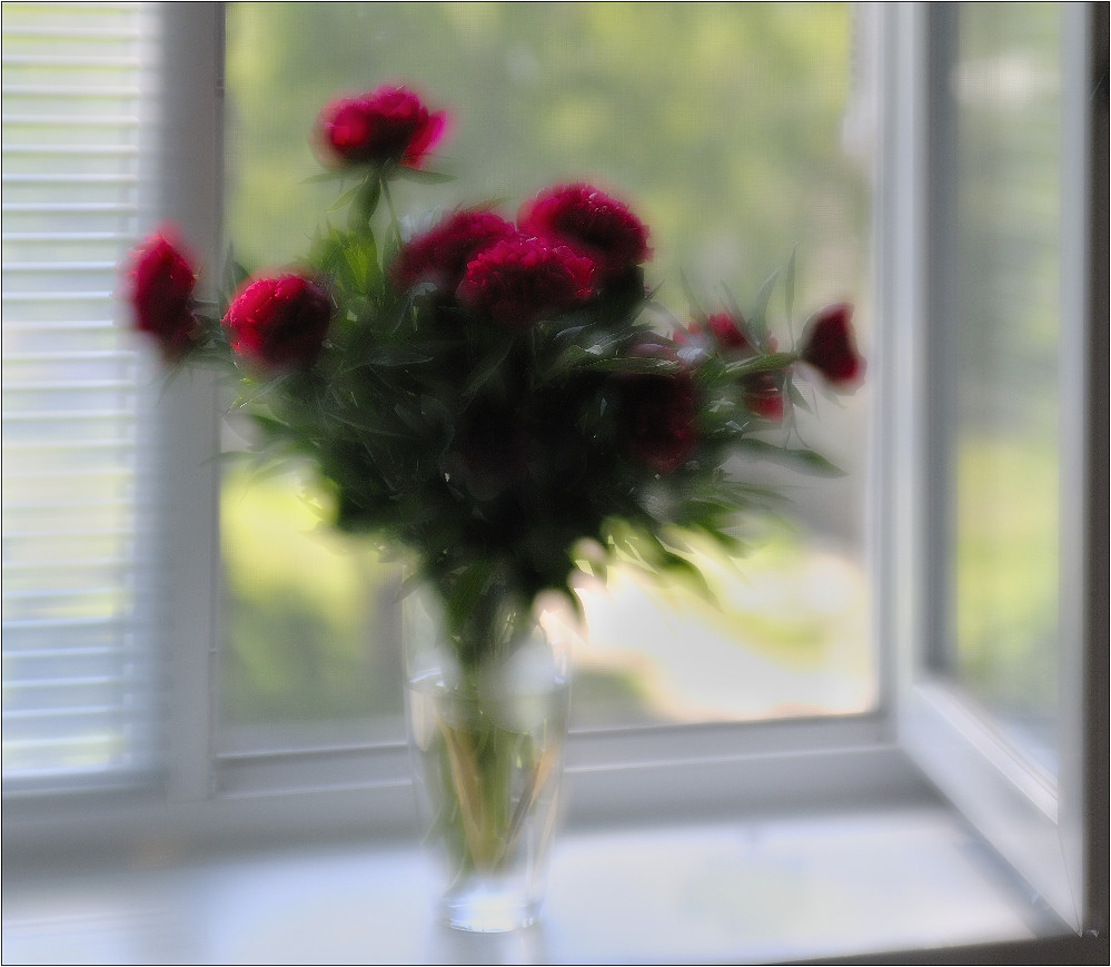 photo "tenderness" tags: still life, 