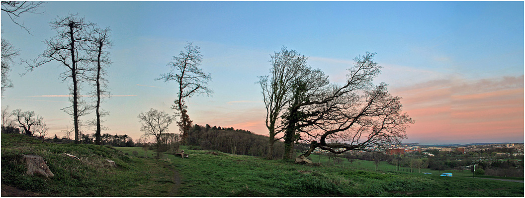 фото "Когда деревья были раздетыми..." метки: панорама, пейзаж, дерева, закат