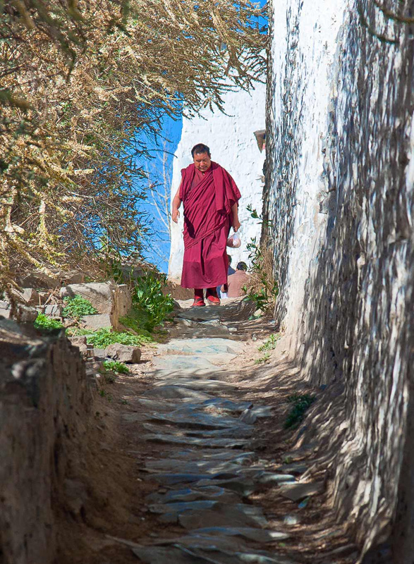 photo "Thorny path" tags: portrait, travel, Asia, man