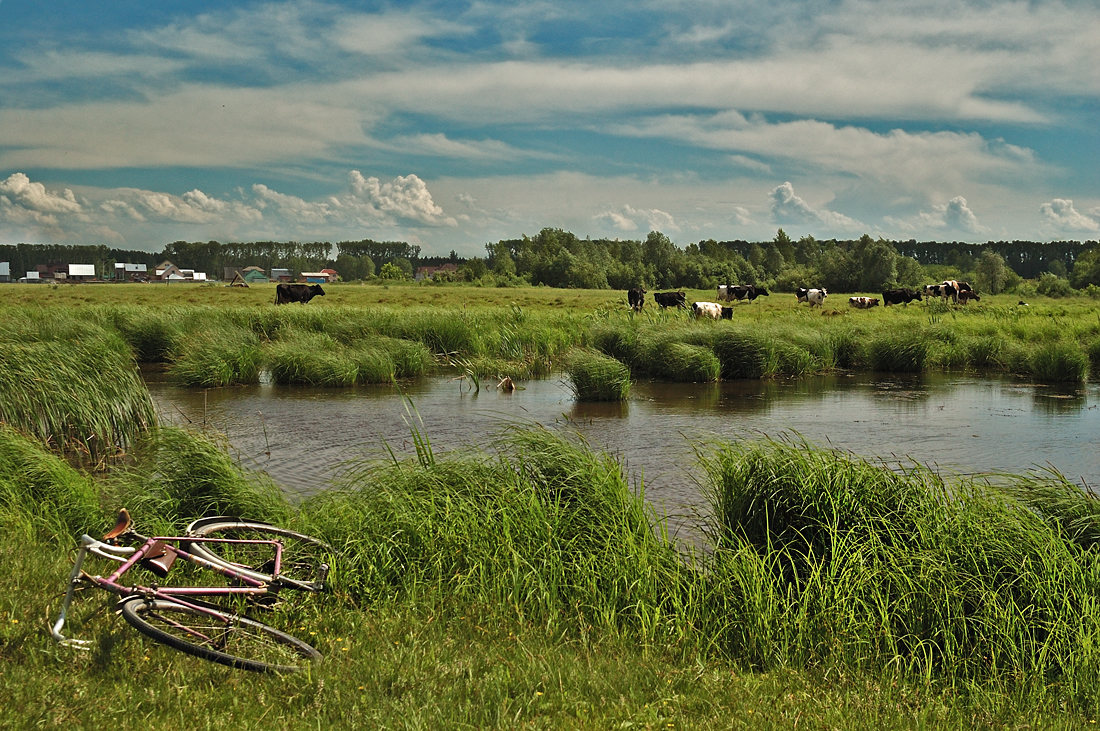 photo "***" tags: landscape, summer