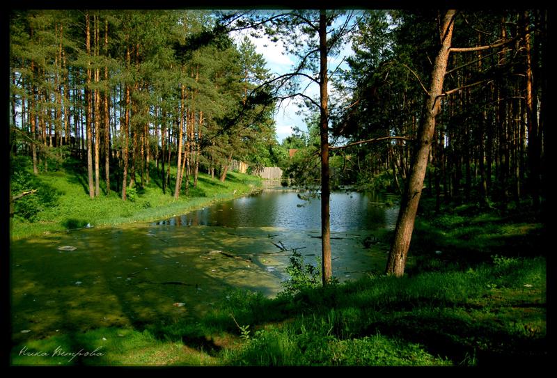 photo "***" tags: landscape, forest, water