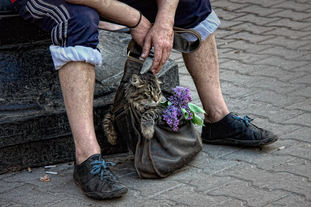 фото "в подарок" метки: жанр, 